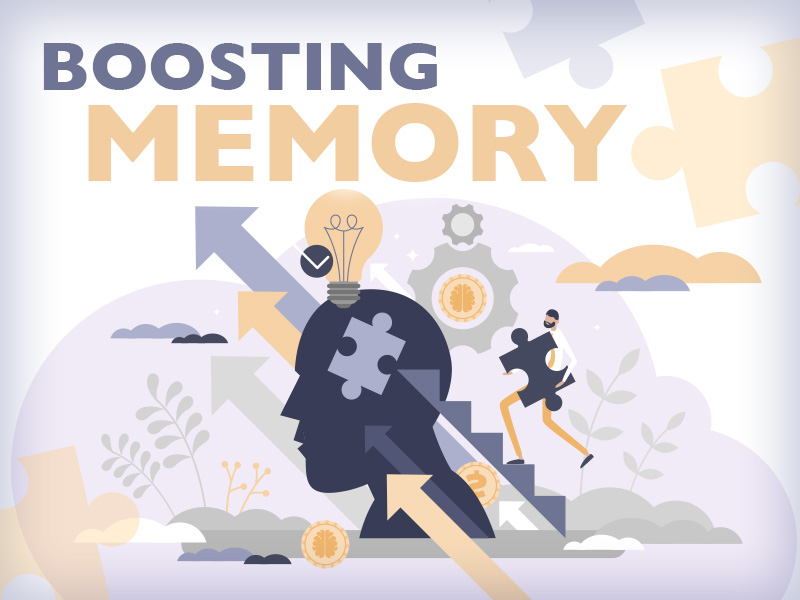 Mental exercise strengthens memory, improves brain function